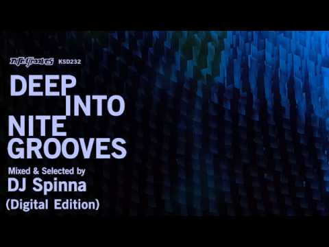 Deep Into Nite Grooves: Mixed & Selected by DJ Spinna (Continuous Mix)