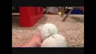 HOW MISTER SNOWMAN DANCES