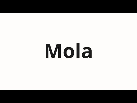 How to pronounce Mola
