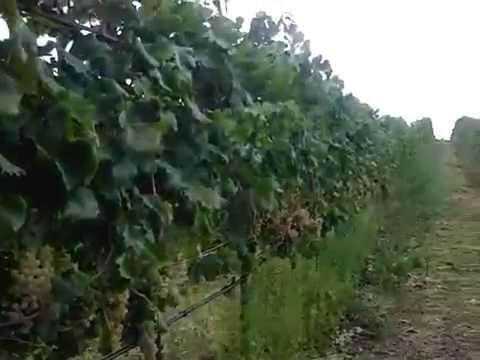 Backstage videoclip S.D.G.