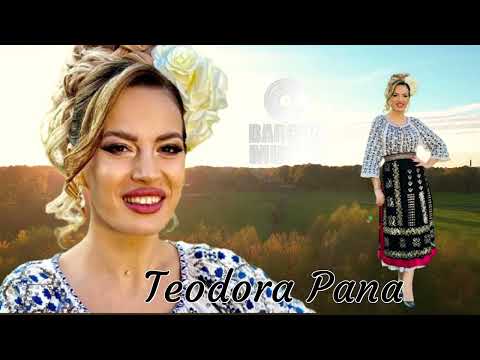 SARBE BOMBA de joc cu Teodora Pana - Cele mai ale DRACU Sarbe de joc - Muzica de petrecere 2026