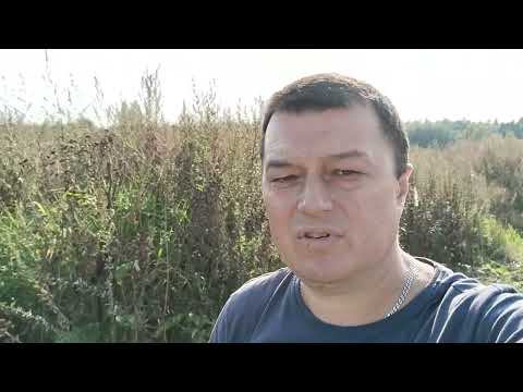 Обзор Участок ЛПХ Голенищево 15 соток с фундаментом Продажа Клин Подмосковье #АэНБИ #недвижимость