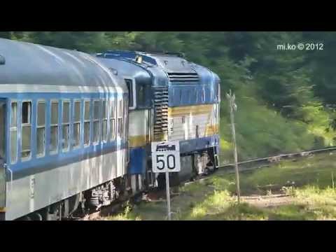 S brejlovci na Lipně