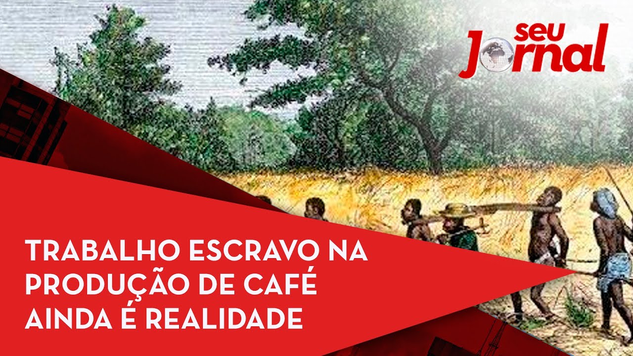 Trabalho escravo na produção de café ainda é realidade no Brasil