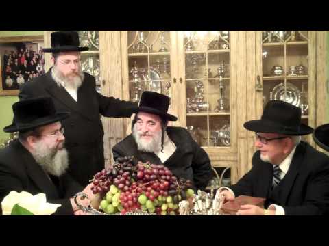 Rabbi Yisroel Hager visits Abraham Schonberger