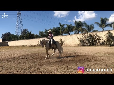 E1P8 - Nuevos Talentos En Cala