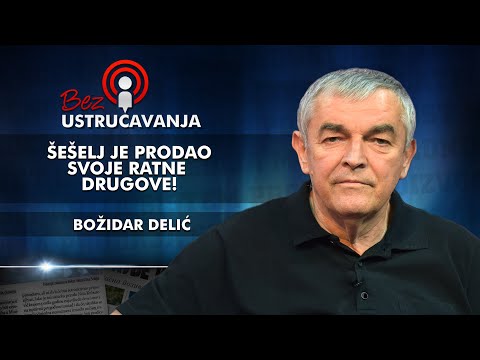 Božidar Delić - Šešelj je prodao svoje ratne drugove!