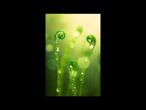 JESUS,......your soul's light