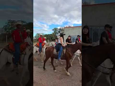 calvagada sul Tocantins Araguaçu capital gado branco