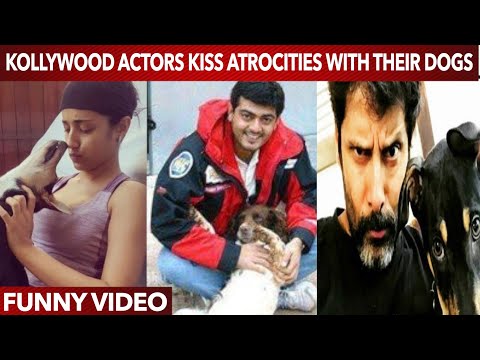 Kollywood Actors Playing with their Dogs | Ajith ,Vikram,Trisha Love for thier pets | Cute video