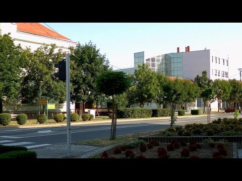 Zvonko Spajić-SPAJKI - OTOKU MOM