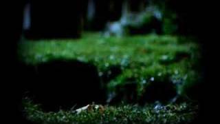 Fuffy: Lord, How Long