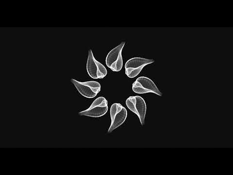 Alevtina, Rich Hila - Just Break (Original Mix) 303lovers