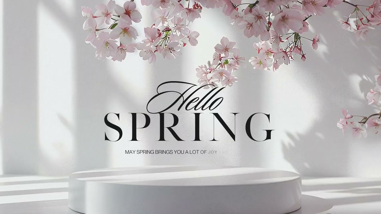 Hello Spring Cherry Blossom Background Wallpaper Video NO SOUND