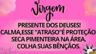 ♍️VIRGEM|PRESENTE DOS DEUSES!CALMA, ESSE"ATRASO" É PROTEÇÃO🔥 SECA PIMENTEIRA. COLHA SUAS BÊNÇÃOS💎