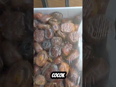Video Kurma Asyraf
