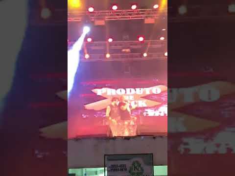 Motocampos 2019 Edu Gomes x PR Bark at the moon