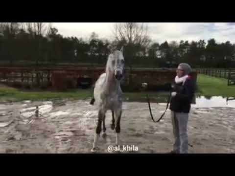 قيس البيداء اسم جميل 🙌