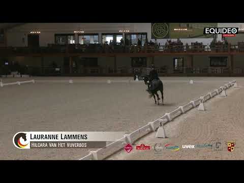 Kür op muziek  13h15 Bk Young Riders