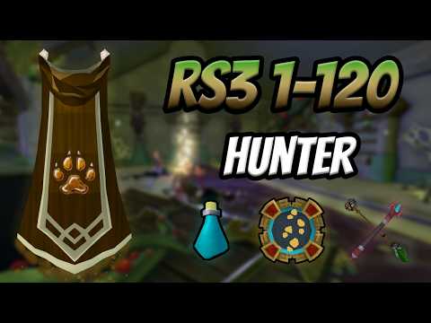 Rs3 Hunter Training