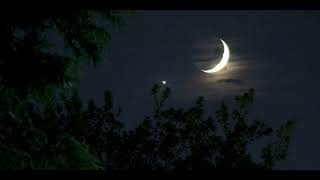 Download lagu Famy-Ava (speed up) . mp3