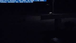 Good Stuff - Hermosa Beach