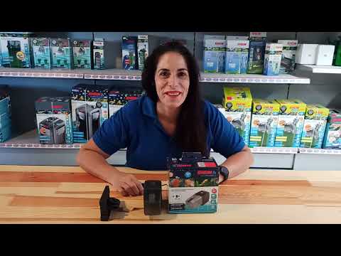 Watch Video on YouTube