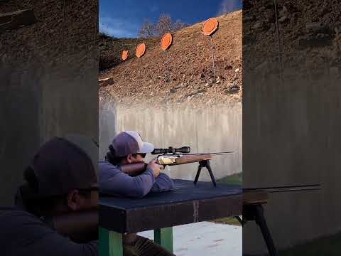 Browning BAR 4X: The Action