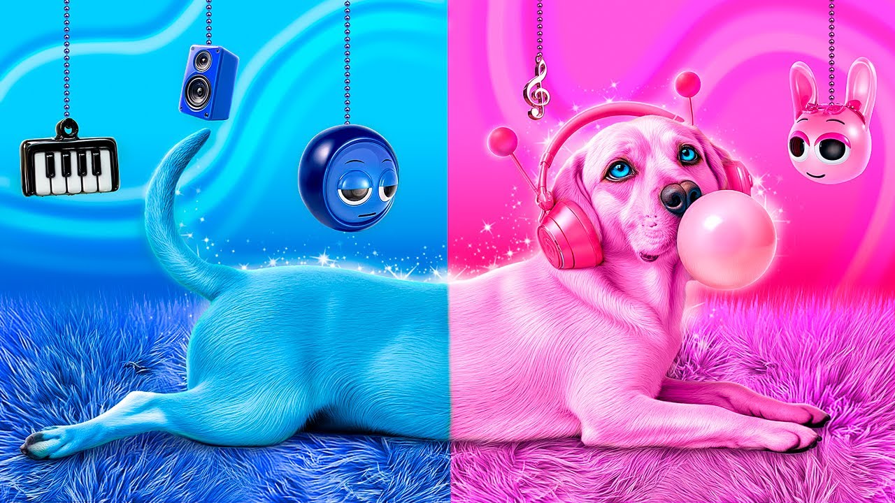 Am Salvat Un Câine Fără Adăpost! Construim O Cameră Secretă Pentru Animale De Companie! Albastru/Roz