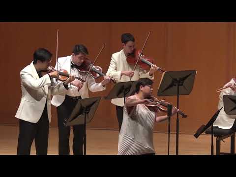 J. S. Bach - Brandenburg Concerto No. 4 in G Major, BWV 1049, I. Allegro