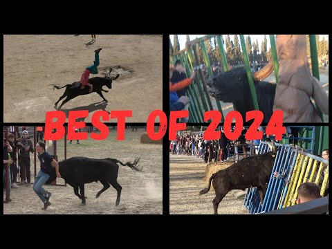 BEST OF 2024 !