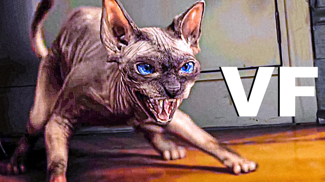 Miniature de la vidéo LES PAGES DE L'ANGOISSE Bande Annonce VF (2021) du film Les Pages de l'Angoisse