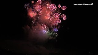 preview picture of video '2014年 赤川花火大会 デザイン花火「つむぐ未来」Design Fireworks in Akagawa Fireworks 2014 in japan.'