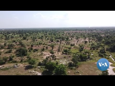 Sahel Conflict Set to Get Worse in 2022 Say Analysts