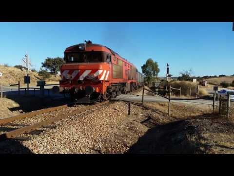 Comboio Especial n.º 96208 - Monte dos Mestres