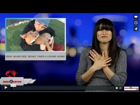 Deaf-blind dog 'Beanz' finds a loving home! (ASL - 3.6.19)