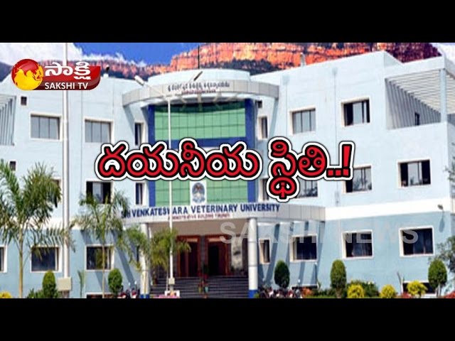 Sri Venkateswara Veterinary University video #1