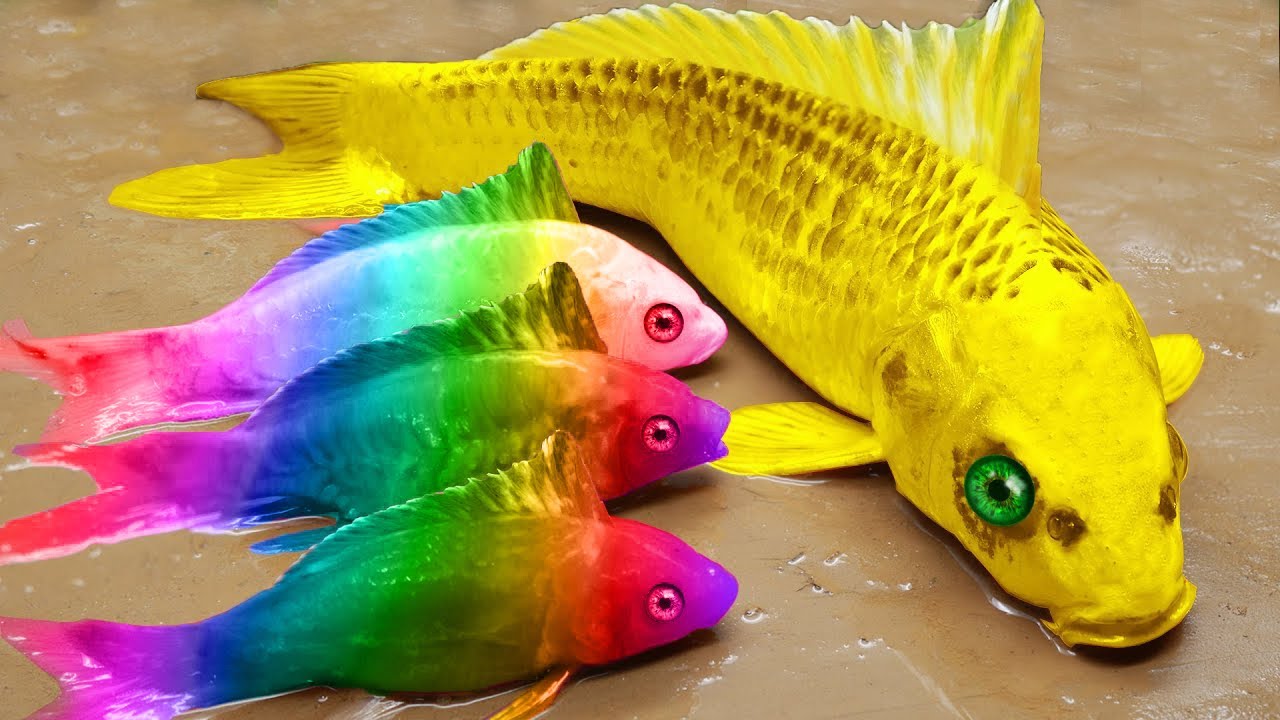 Pescando peces de colores, rana gigante, anguila colorida - Stop Motion Lucu ASMR Primitive Cooking