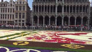 Flower carpet, Brussels Grand'Place in 4K (UHD)