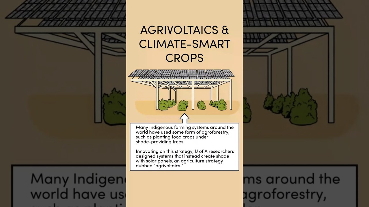 Agrovoltaics and Climate-Smart Crops