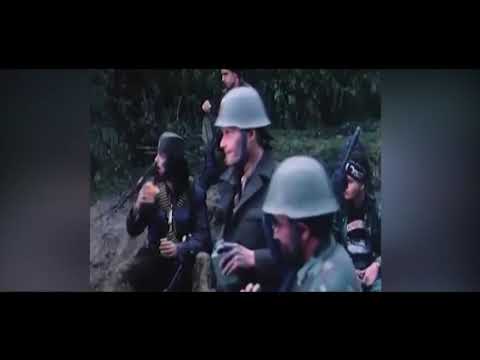 Milorad Mandic Manda najbolje psovke