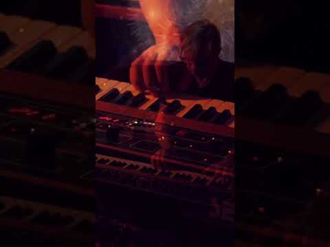 Sequential Prophet-10 Desktop 10-Voice Polyphonic Synthesizer 2025 - Black with Wood Sides image 17