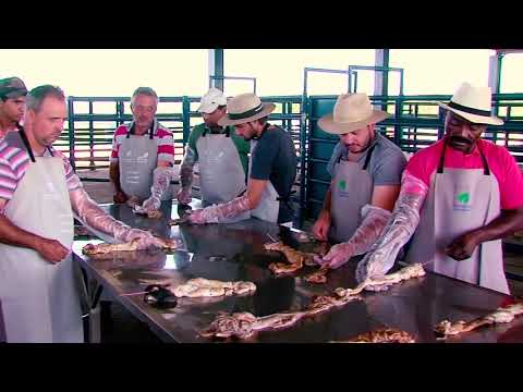 Centro Técnico de Capacitação Ourofino