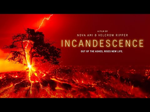 Incandescence (2024)