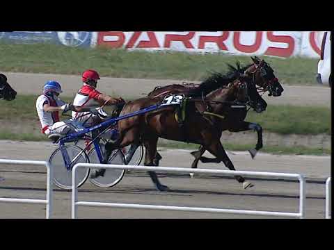 Napoli Trotto 05/09/2023 - 4ª corsa