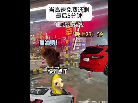 当高速公路免费还剩最后5分钟 #老司机 #高速免费最后一分钟 #惊险时刻 #猫meme #funny #发疯 #猫meme小剧场 #搞笑 #人類迷惑行為