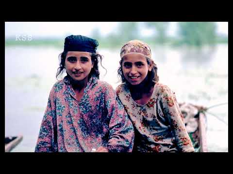 Rind Poshmaal – Rouf Wanwun • Kashmiri Folk Song