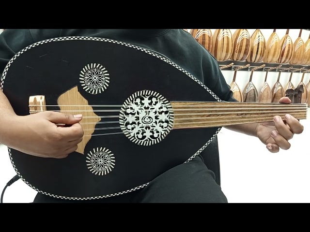 عود موسيقي كهربائي احترافي سوبر لوكس