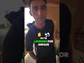 Foreign Man Confronts The Family Of The Girl He Stalked Caught On Ring Doorbell
