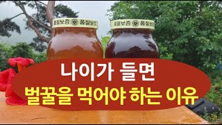 나이가 들면 벌꿀을 먹어야 하는 이유